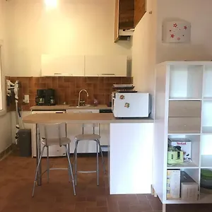 Le Paradis Des Oiseaux Toulon