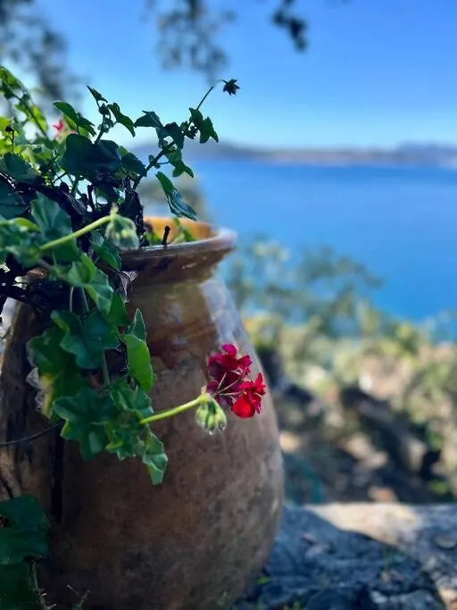 Villa O Perche à Toulon